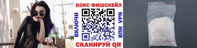как найти наркотики  Снежногорск  Кокаин Эквадор 