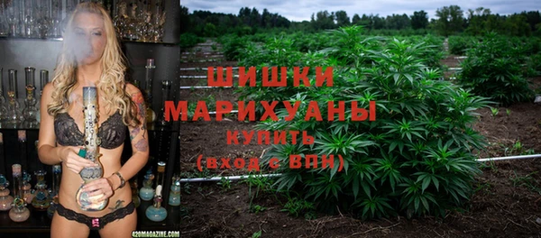ГАЛЛЮЦИНОГЕННЫЕ ГРИБЫ Алексин