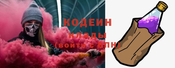 ГАЛЛЮЦИНОГЕННЫЕ ГРИБЫ Алексин