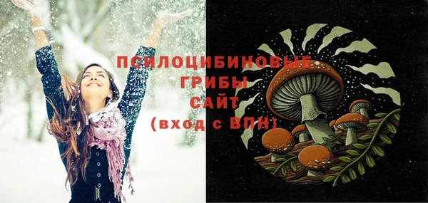 ГАЛЛЮЦИНОГЕННЫЕ ГРИБЫ Алексин