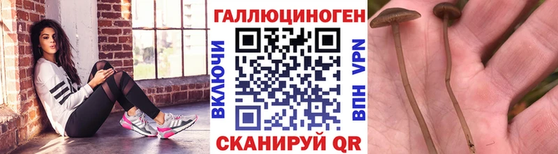 Псилоцибиновые грибы прущие грибы  Снежногорск 